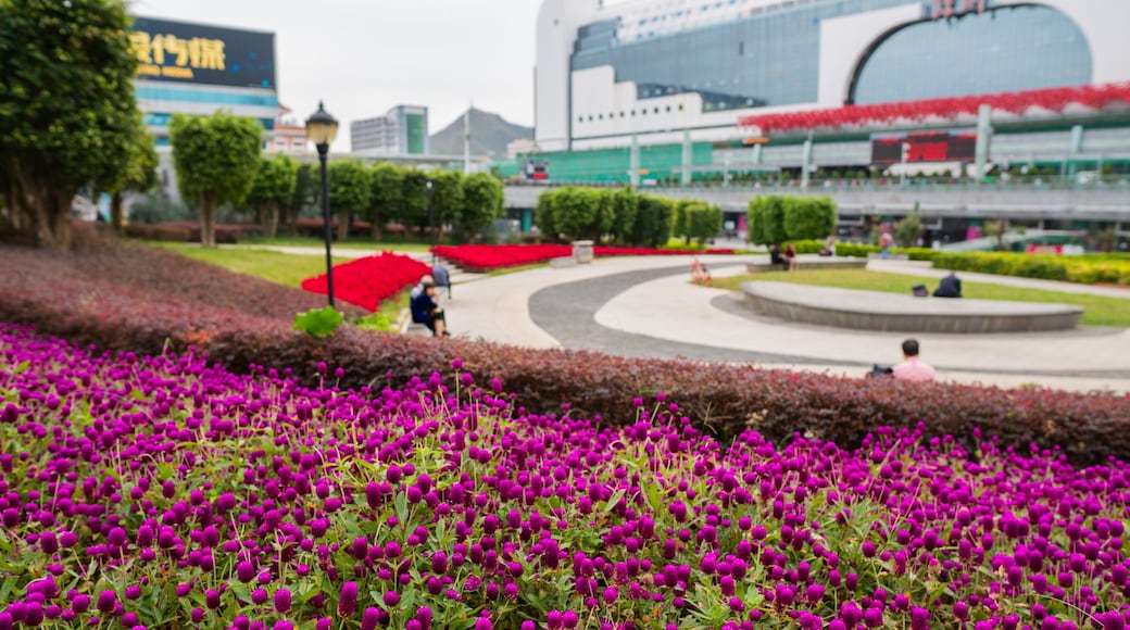 Shenzhen which includes wildflowers and a park