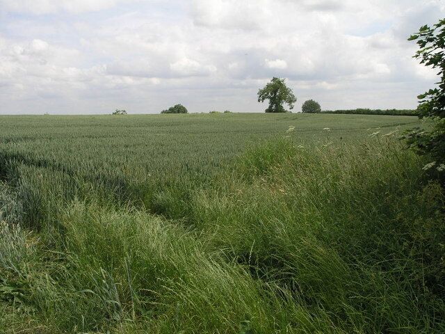 Field and a Tree. Other than a short length of road and a couple of small buildings this square is mostly fields.