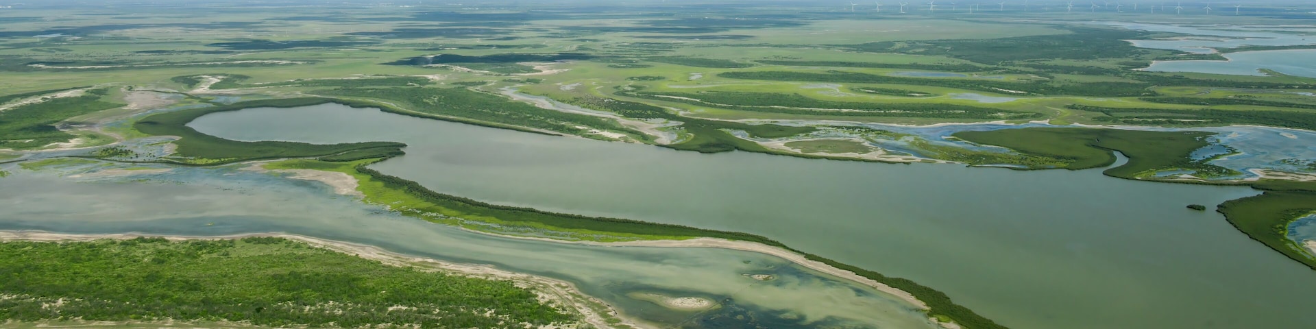 Paisagem costeira com uma vasta extensão de água, vegetação verde e turbinas eólicas ao longe.