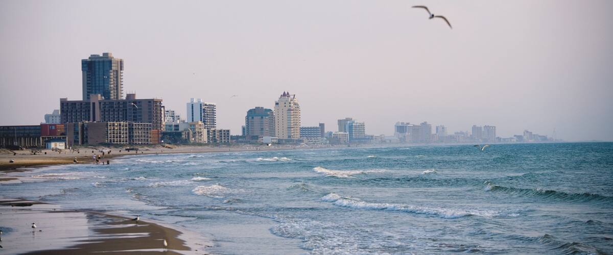 South Padre Island toont een wolkenkrabber, algemene kustgezichten en vogels