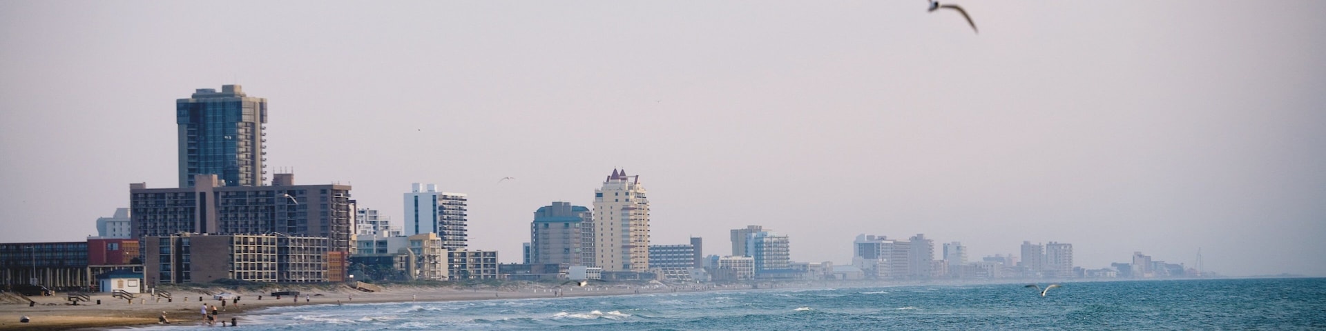 Praia com ondas, horizonte urbano e uma gaivota voando.