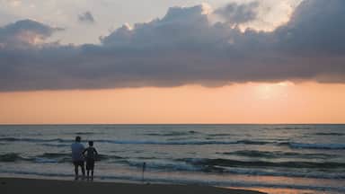 South Padre Island which includes fishing, a sandy beach and a sunset