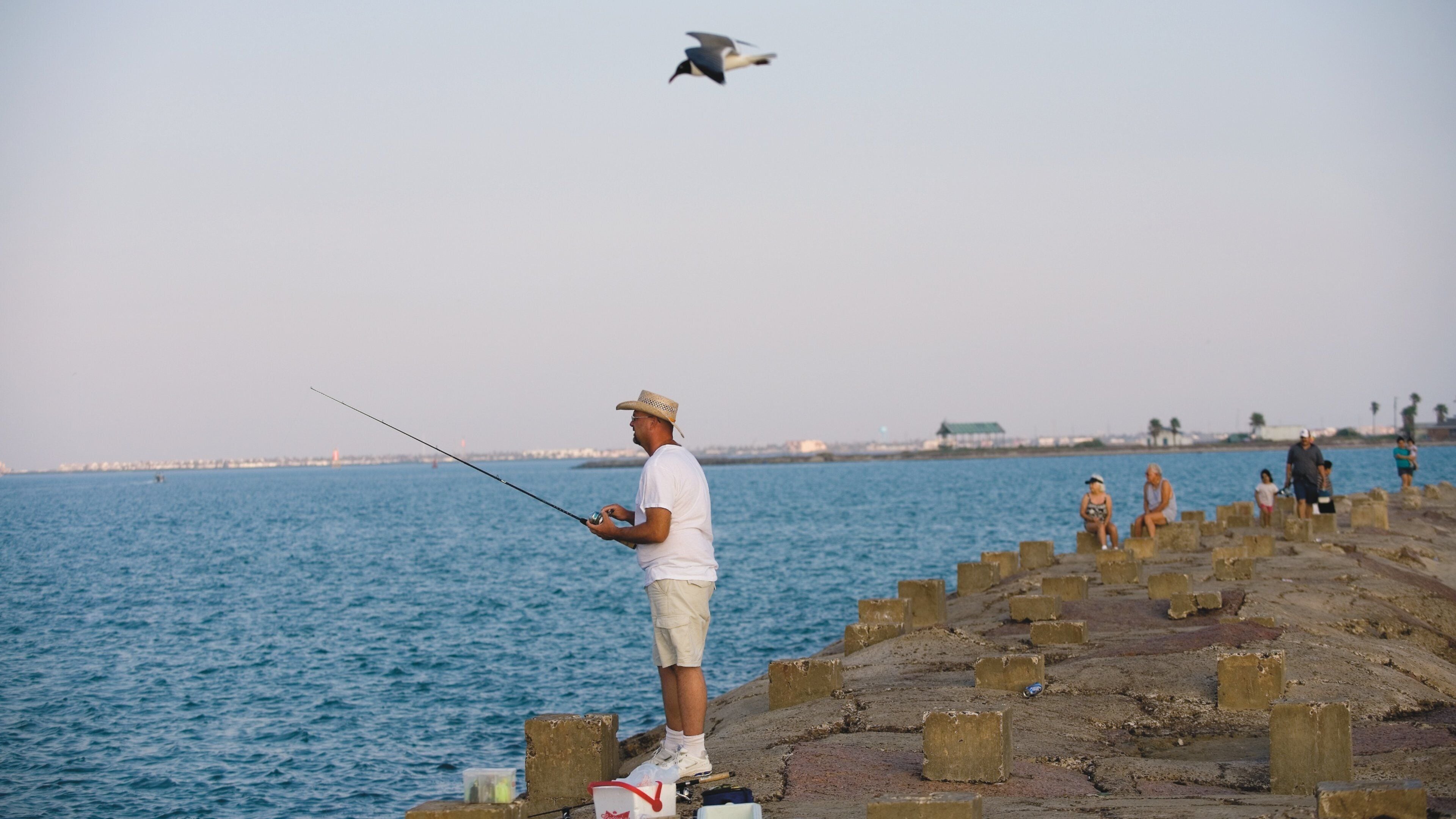 A man fishing by the sea with a bird flying overhead.