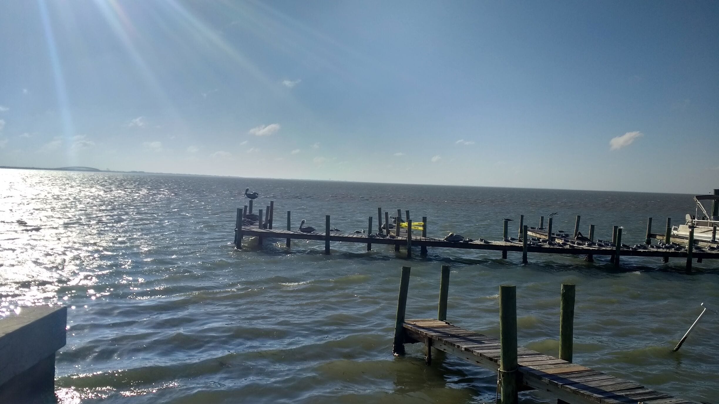 Wind and Beach
#longwalk #relaxing #petfriendly 