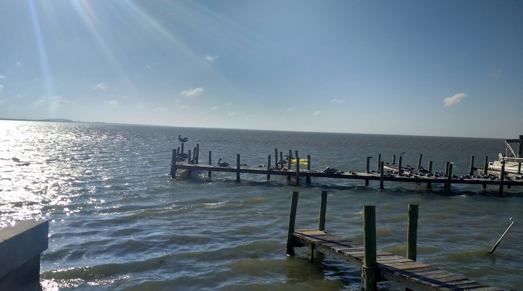 Wind and Beach
#longwalk #relaxing #petfriendly