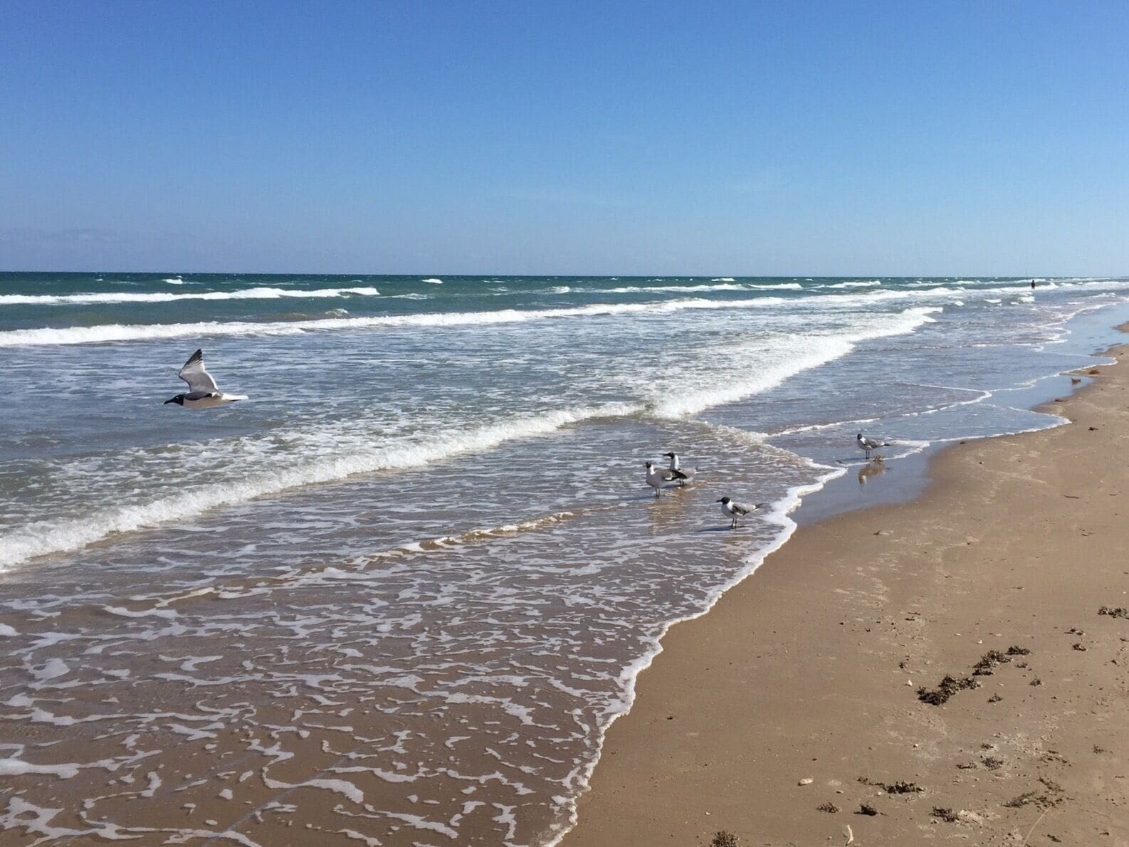 A beautiful day to walk on the beach and soak up some rays #spi