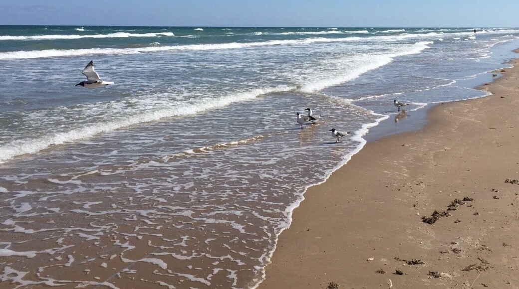 A beautiful day to walk on the beach and soak up some rays #spi