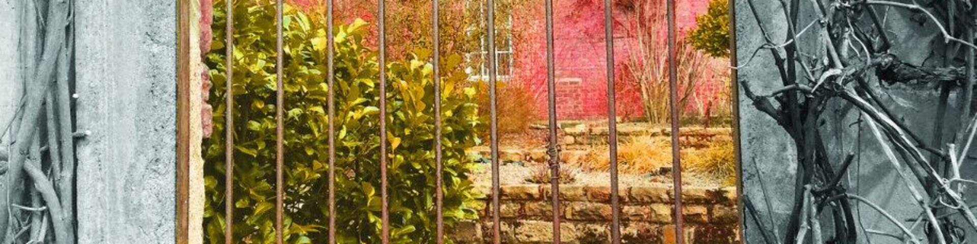 this wall is in worden park leyland, that has stunning gardens. cafe, mini railway ect, lovely day out with the dogs . i've tweeked with photoshop but the place is still stunning