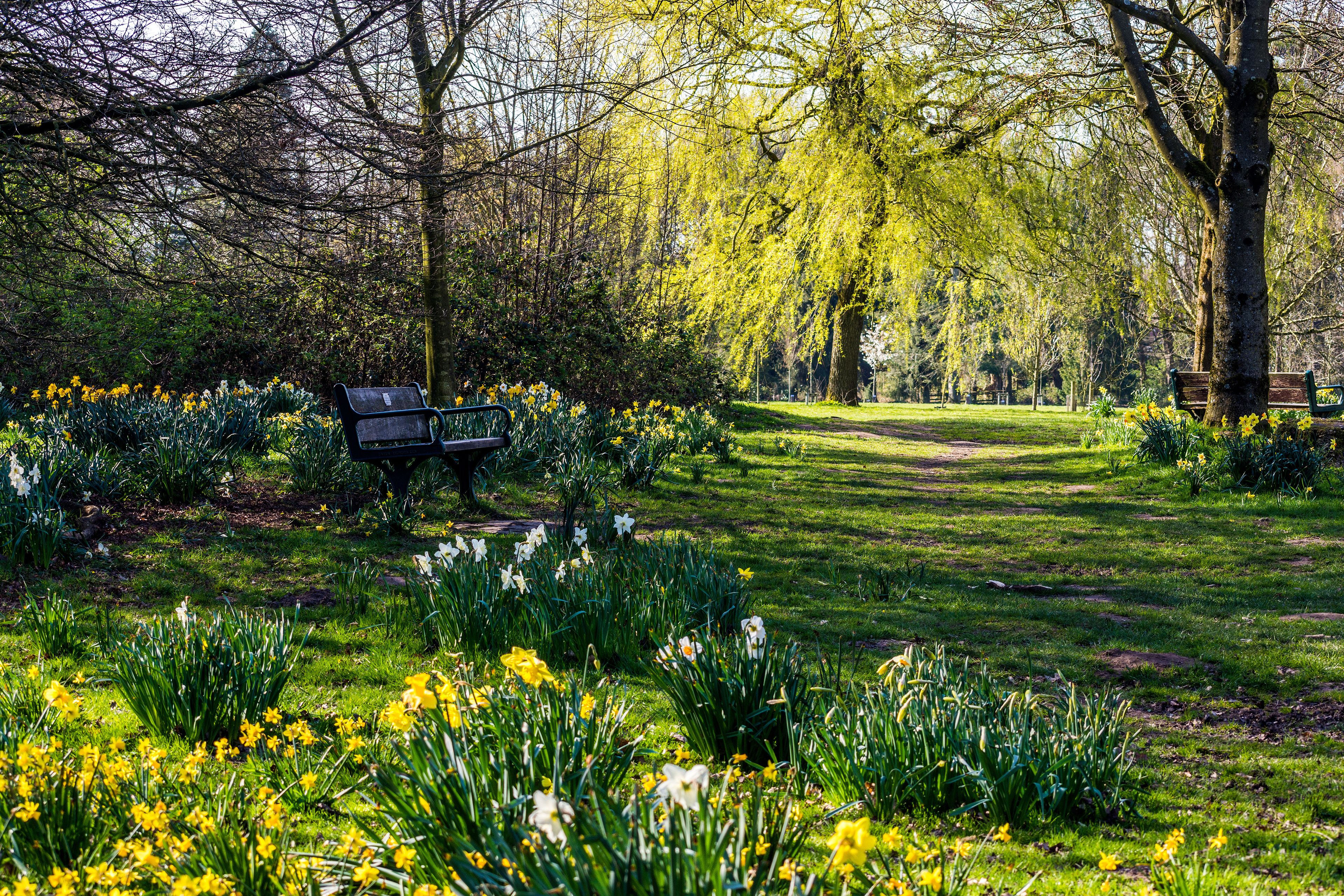 Springtime in Worden Park, Leyland, UK.