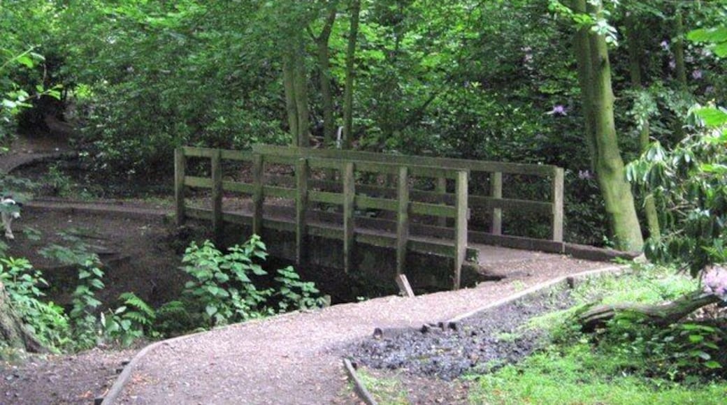 Bridge over Shaw Brook, Worden Park