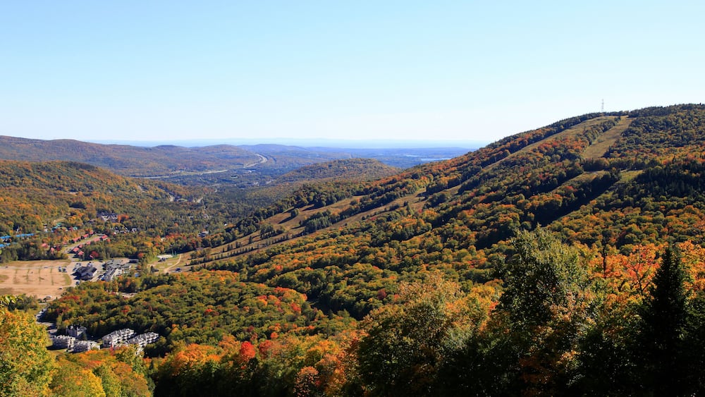 paysage de montagnes en automne