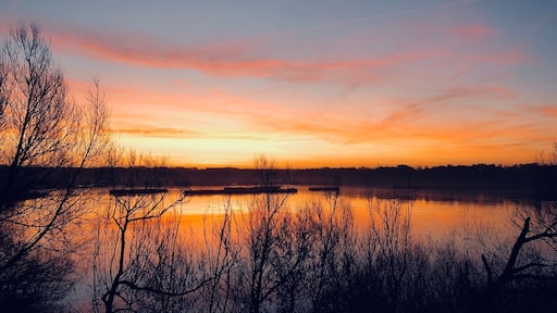 Fleet Pond looking glorious from Fleet Train station car park.