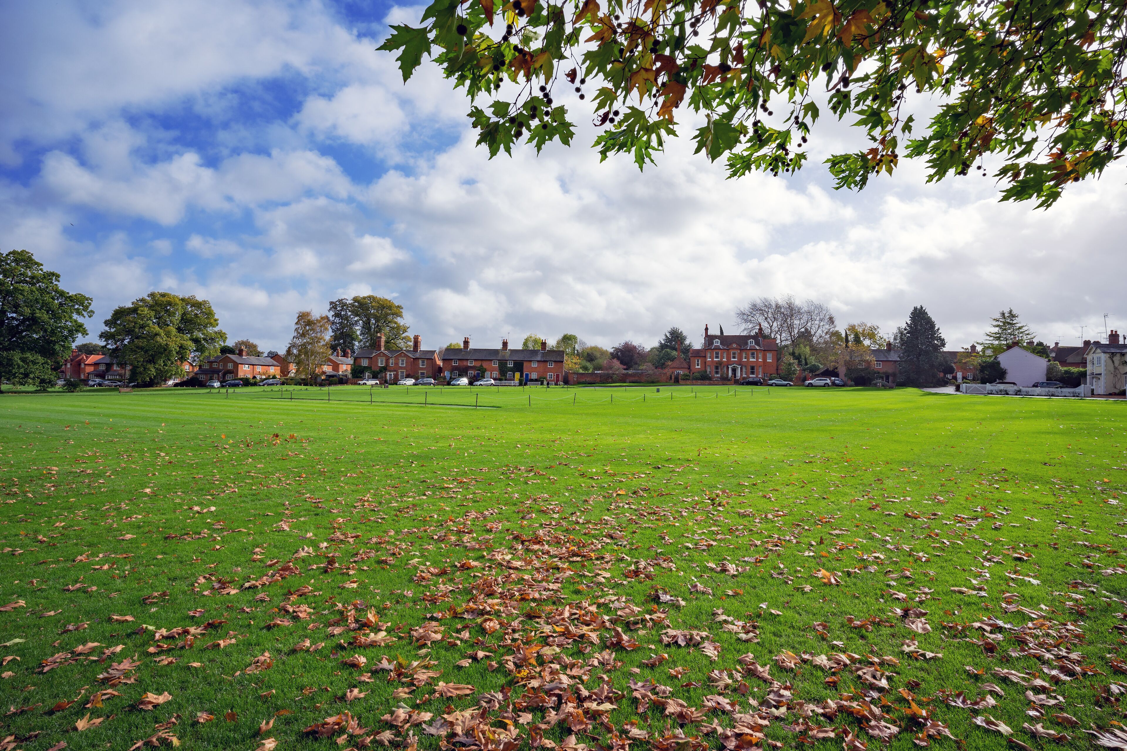 A park with a grassy field, scattered fallen leaves, and red brick buildings in the background.