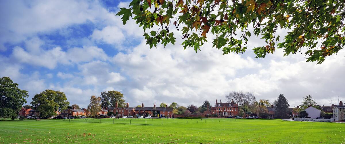 A park with a grassy field, scattered fallen leaves, and red brick buildings in the background.