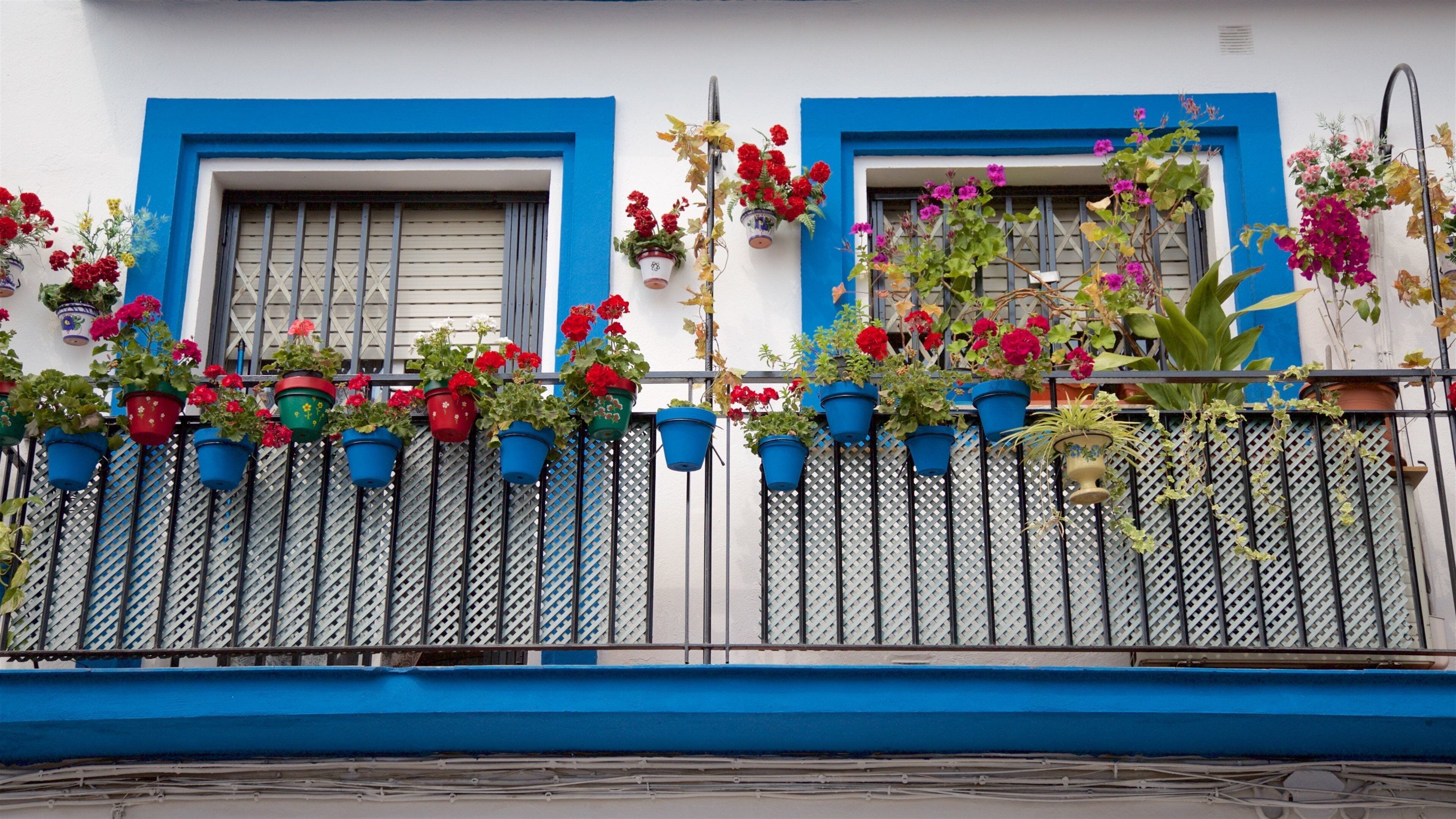 Visit Córdoba: 2026 Travel Guide for Córdoba, Andalusia | Expedia