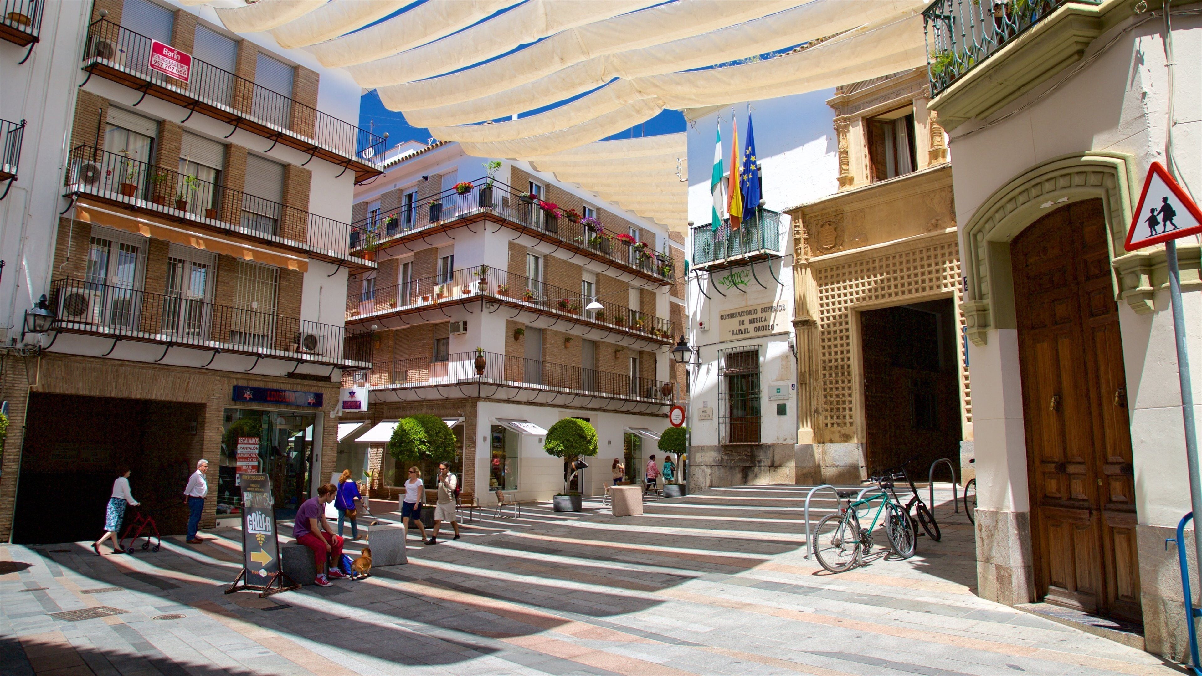 Cordova mostrando piazza