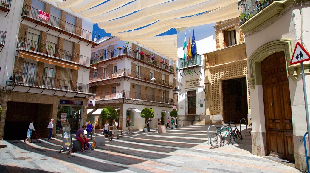 Cordova mostrando piazza