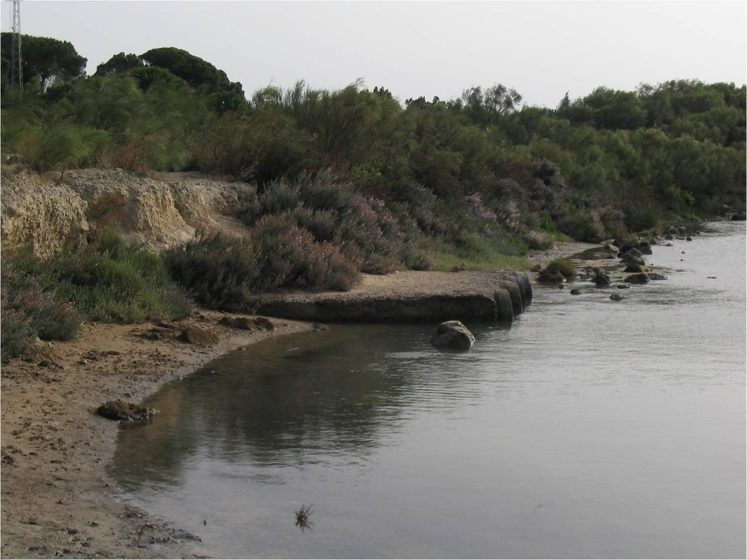 Drenaje del Caño de La Cortadura.