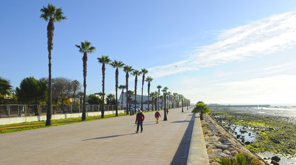 Seafront promenade of Puerto Real and marshes of Bahia de Cadiz Natural Park, Andalusia, Spain