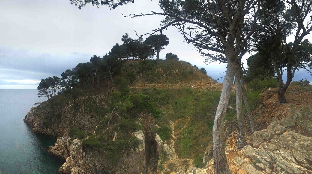 Castell de la Fosca near Palamós