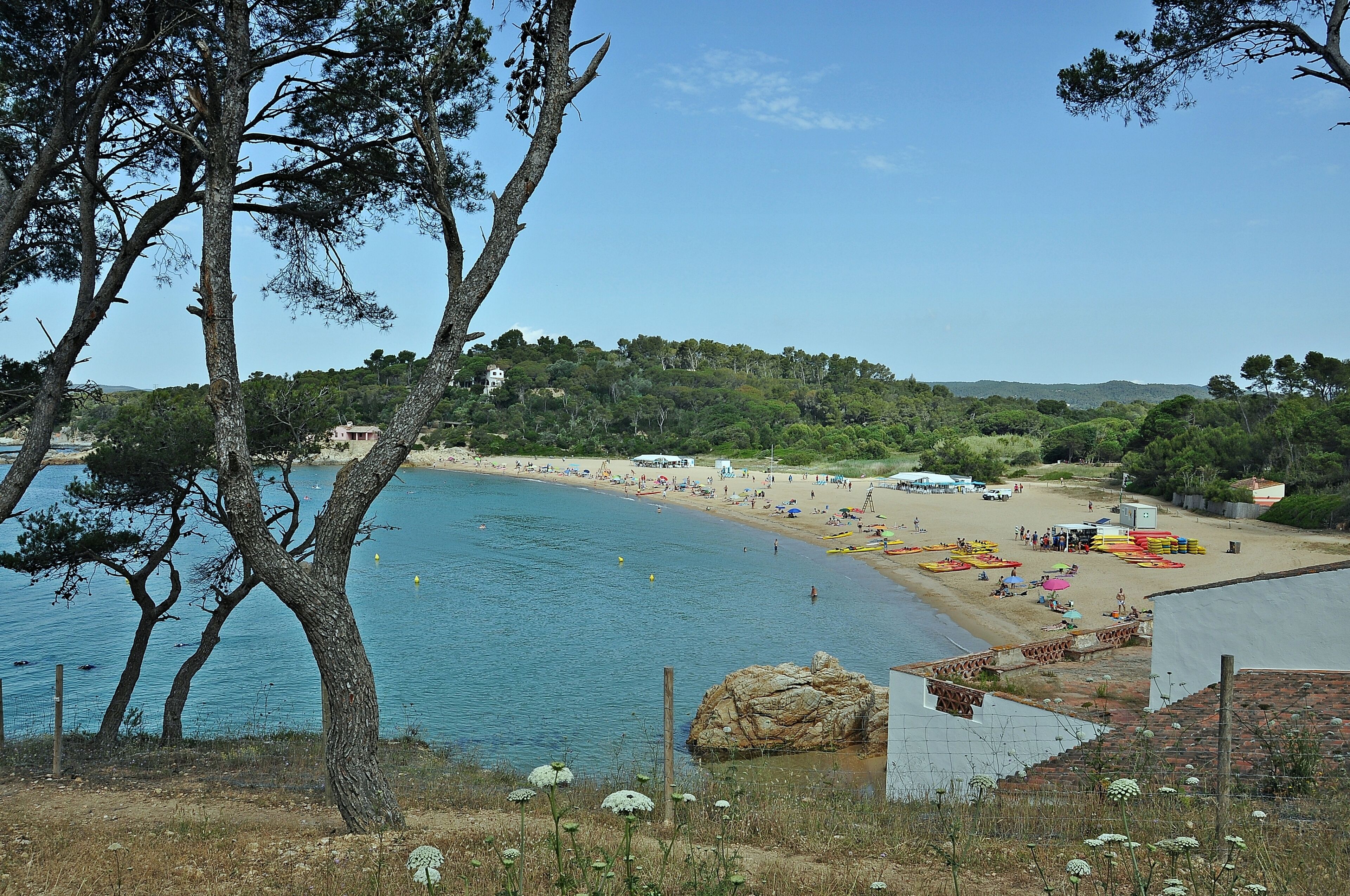 A coastal beach with clear blue water, surrounded by trees and hills.
