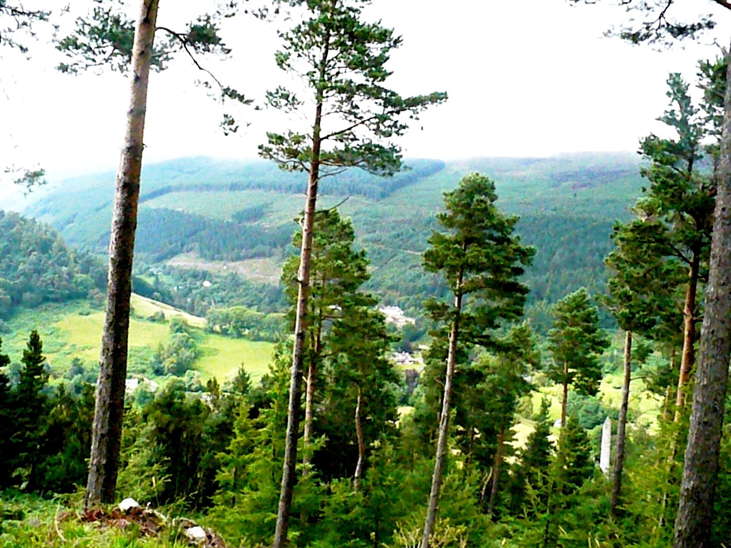 Unforgettable trail Wicklow way to admire this vast #NationalPark. You can observe from here the tiny but enchanting town Laragh, plenty of trails to ride. #hiking
