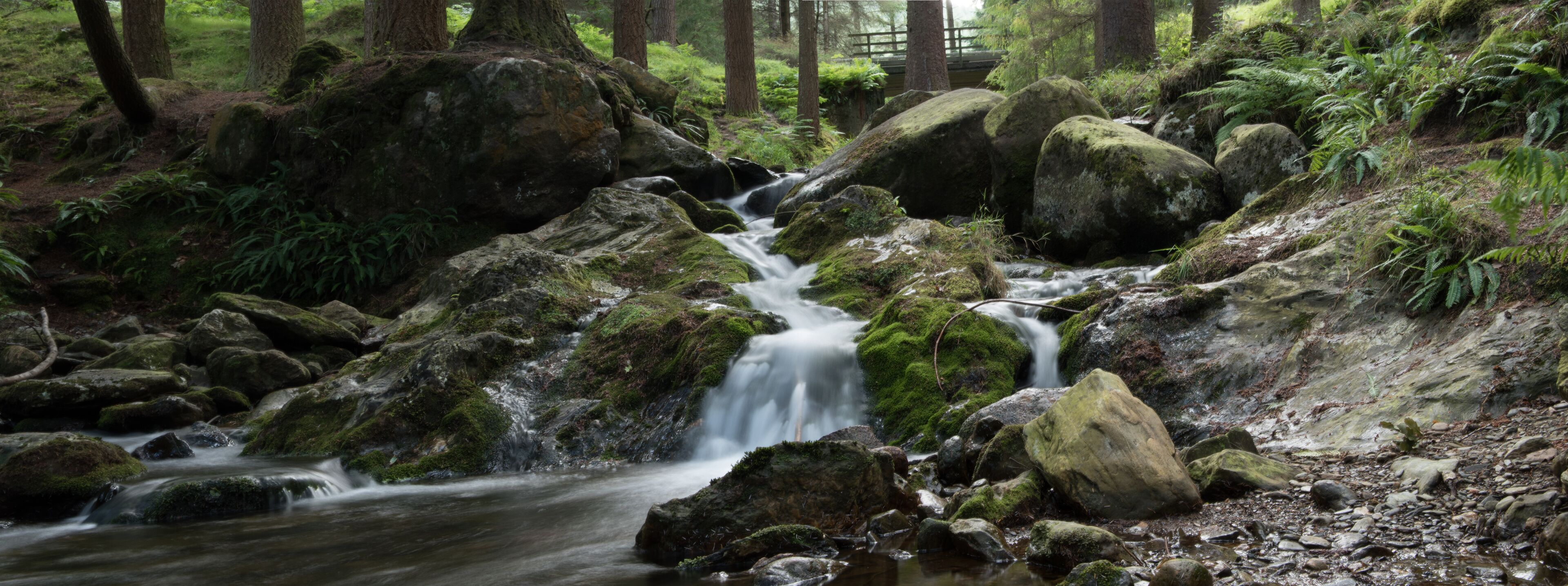 A forest stream with moss-covered rocks and a wooden bridge in the background.