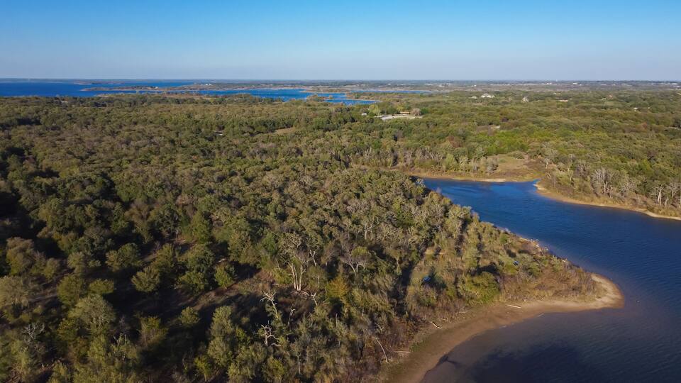 A coastal forest with a river and a distant body of water.