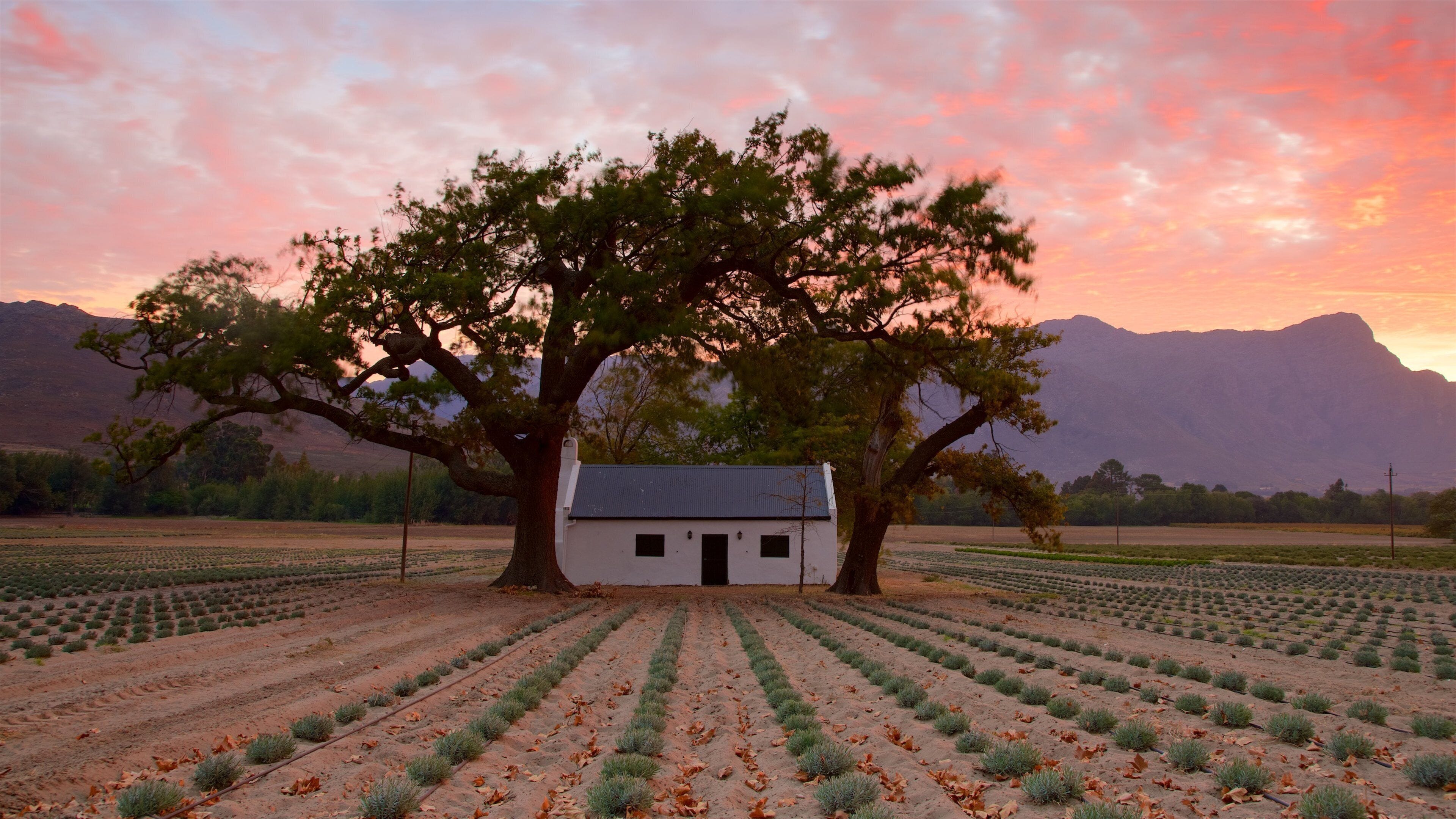 Ciudad del Cabo que incluye tierra de cultivo, una casa y un atardecer
