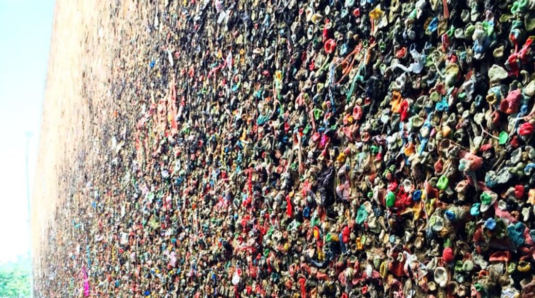 Bubblegum alley is located in downtown San Luis Obispo , California. Pretty cool and kind of disgusting. Thousands of people come here and stick their own piece of gum on the walls.