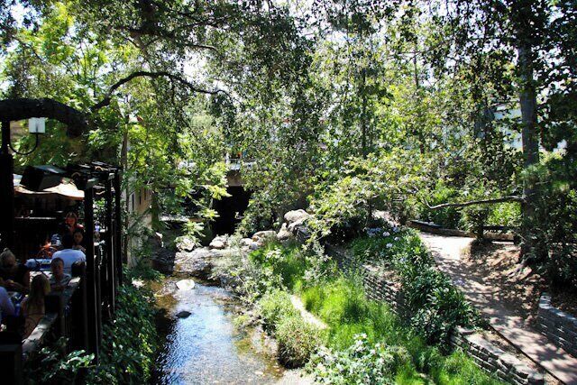 San Luis Obispo creek running through the  center of town #roadtrip #creek #nature
