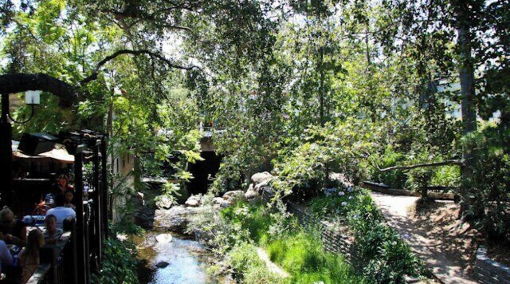 San Luis Obispo creek running through the center of town #roadtrip #creek #nature