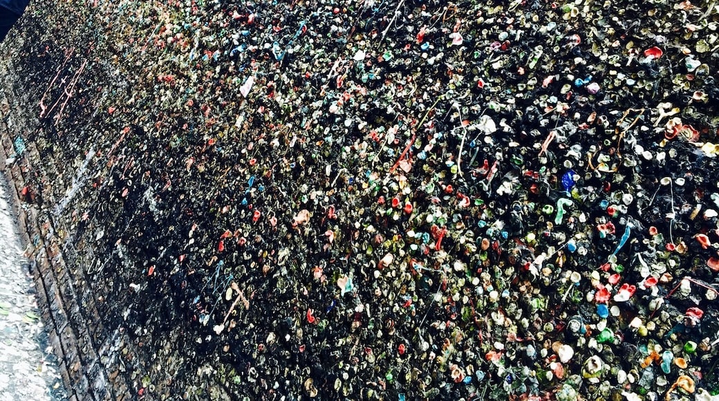 Bubblegum Alley is a tourist attraction in downtown San Luis Obispo, California, known for its accumulation of used bubble gum on the walls of an alley. It is a 15-foot high and 70-foot long alley lined with chewed gum left by passers-by.