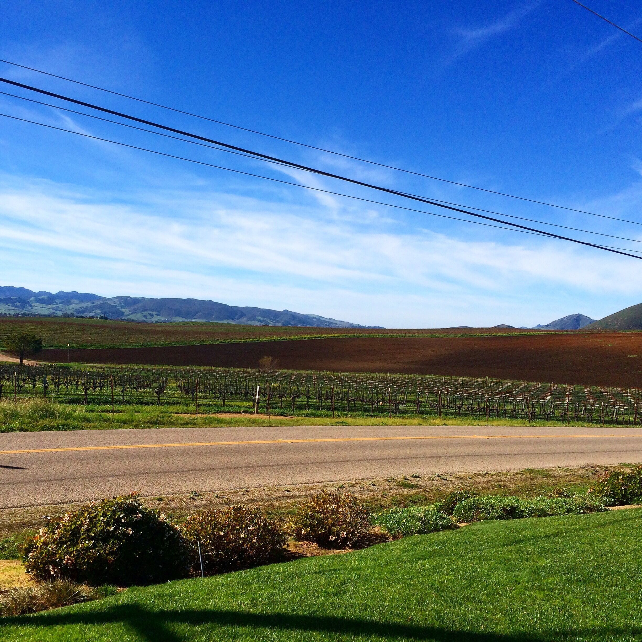 Enjoy a glass of vino next to this beautiful view! 
The tasting room is an 100 year old school house, a must see & do if you love wine & the central coast!