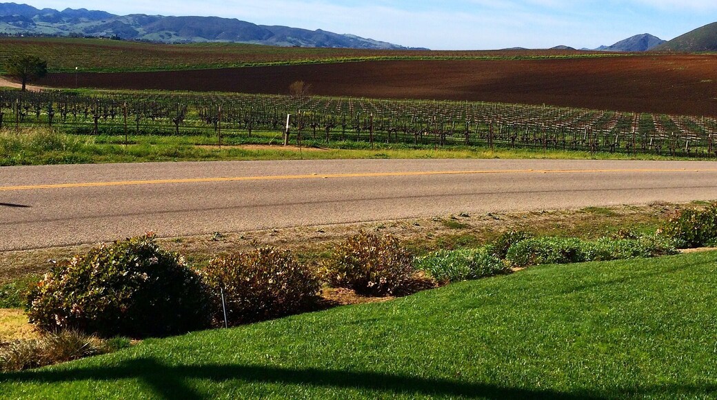 Enjoy a glass of vino next to this beautiful view!
The tasting room is an 100 year old school house, a must see & do if you love wine & the central coast!