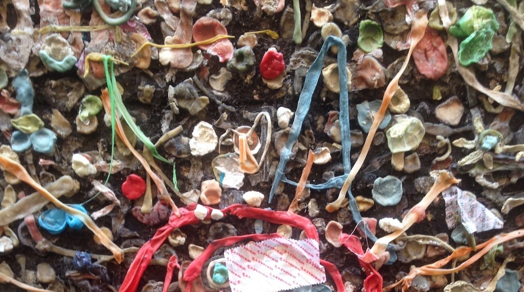 On Higuera St SLO you will find this gem of a place lol! Hey! It's fun and gross...curiosity will grab ya!