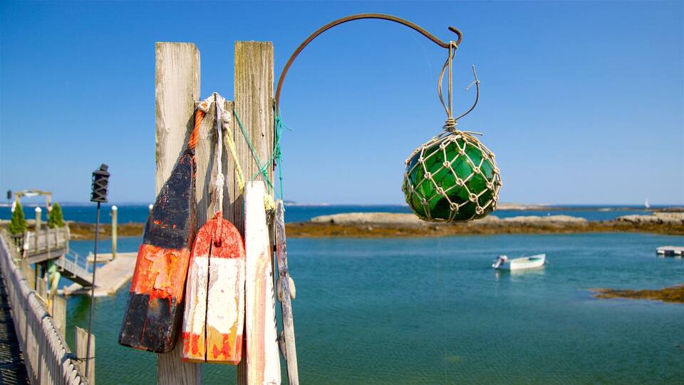 A green netted buoy attached to a wooden post by a curved metal hook, with a wooden fence and a body of water in the background.