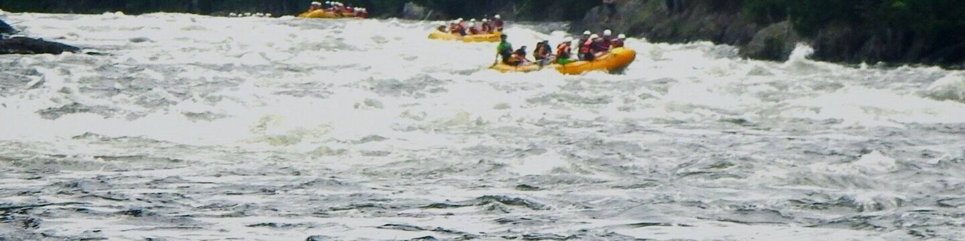 A group of people rafting down a river surrounded by dense forest.