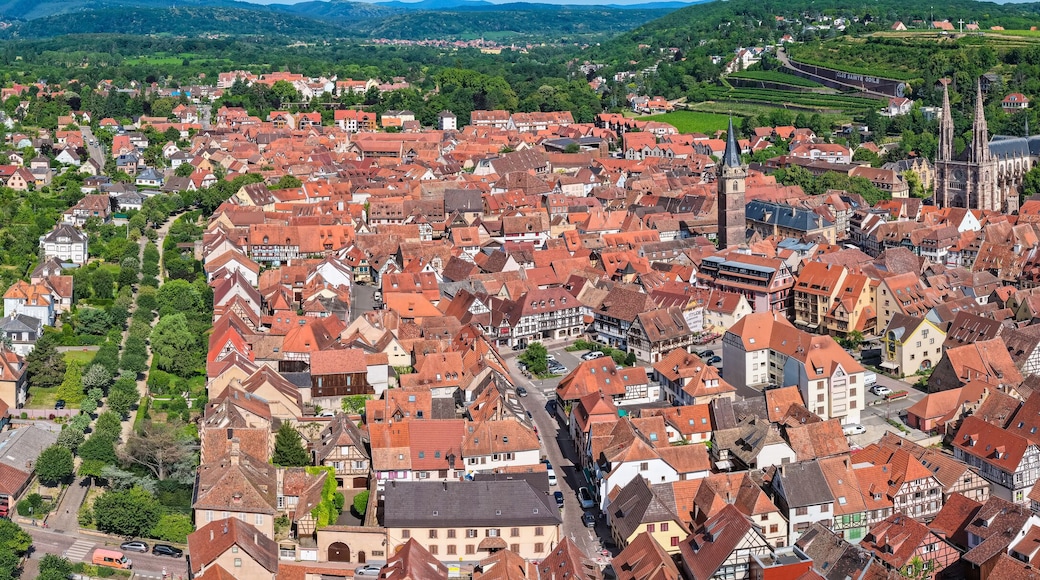 Obernai