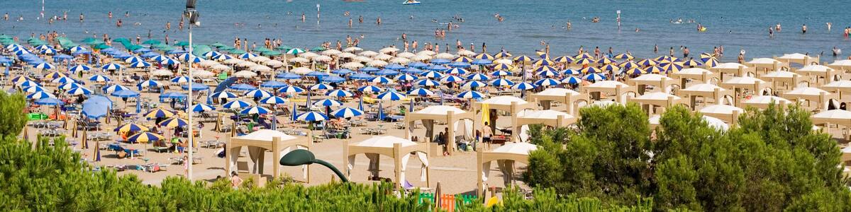 View of the see, beach and green pines