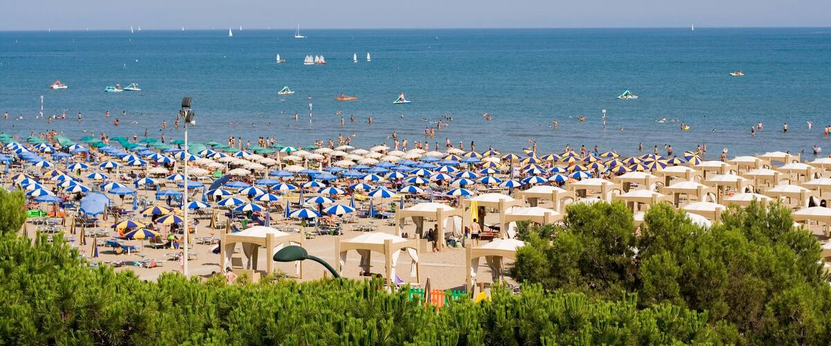 View of the see, beach and green pines