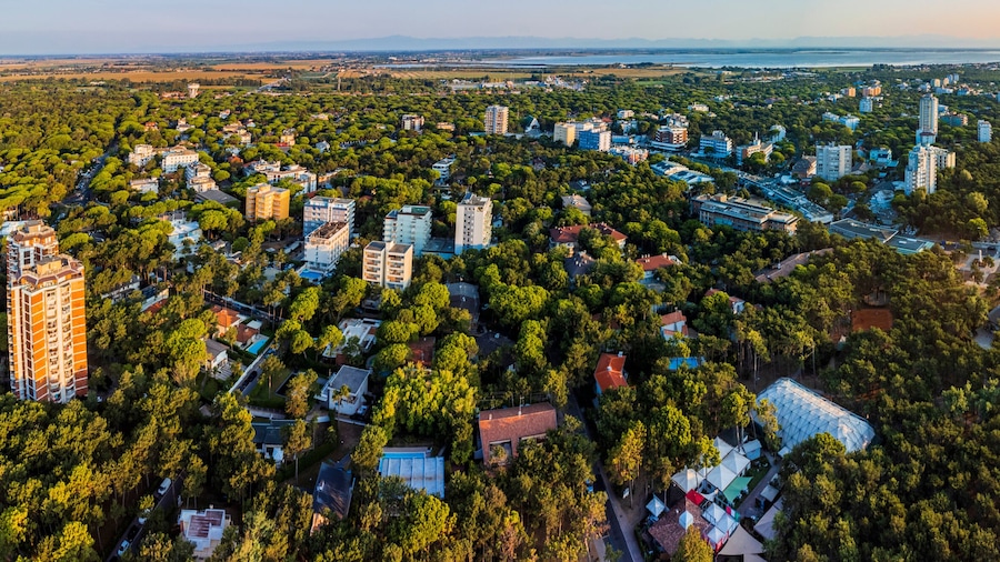 리그나노 사비아도로
