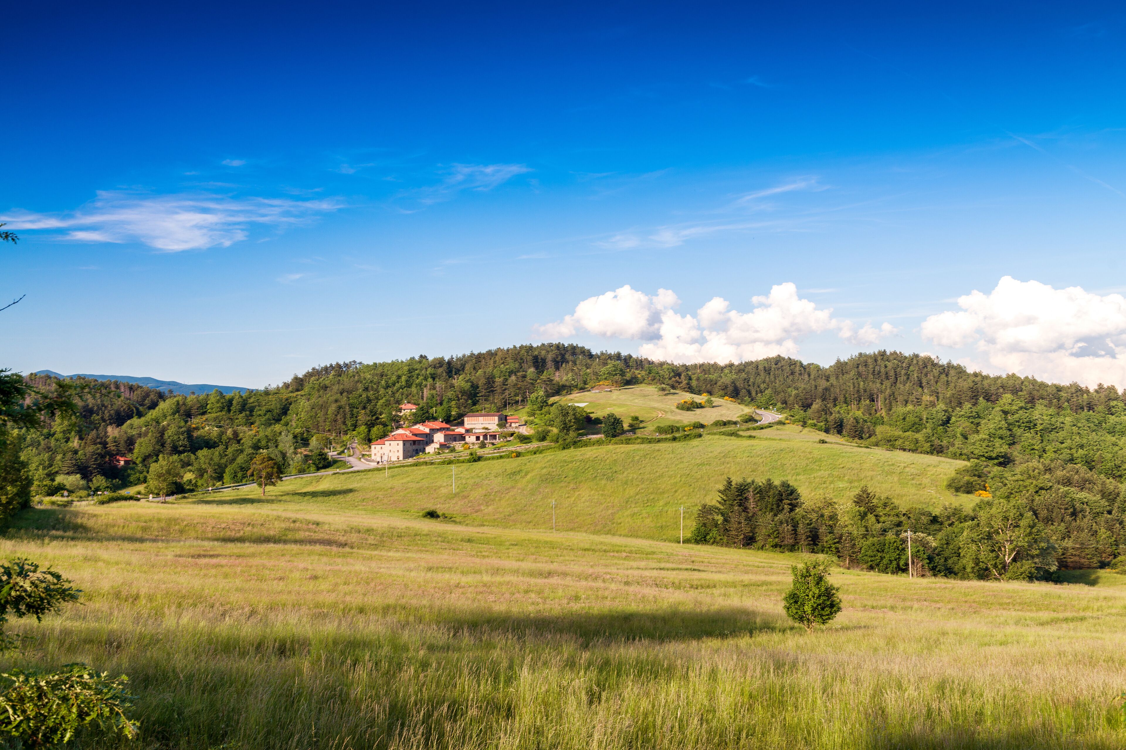 A rural landscape with rolling hills, a red-roofed building, and a clear blue sky.