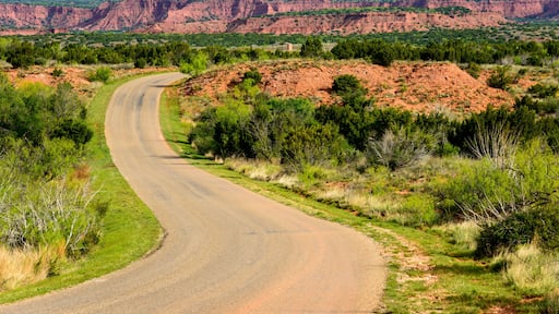 Caprock Canyons State Park and Trailway