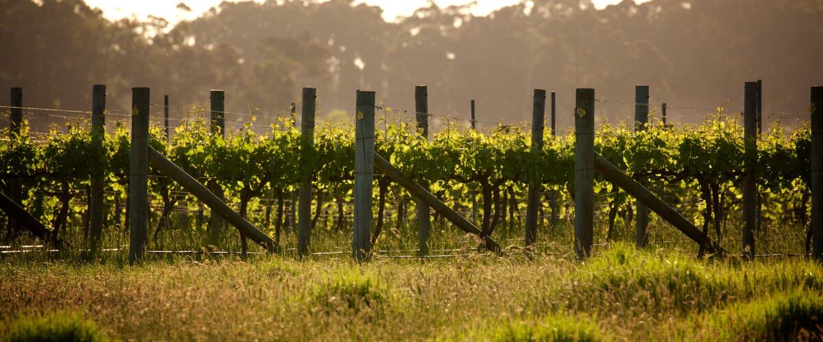Margaret River Wine Region