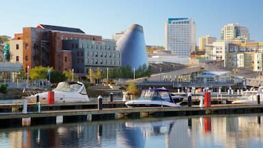 A marina with boats docked, a modern building with a unique shape, and a cityscape with various buildings in the background.
