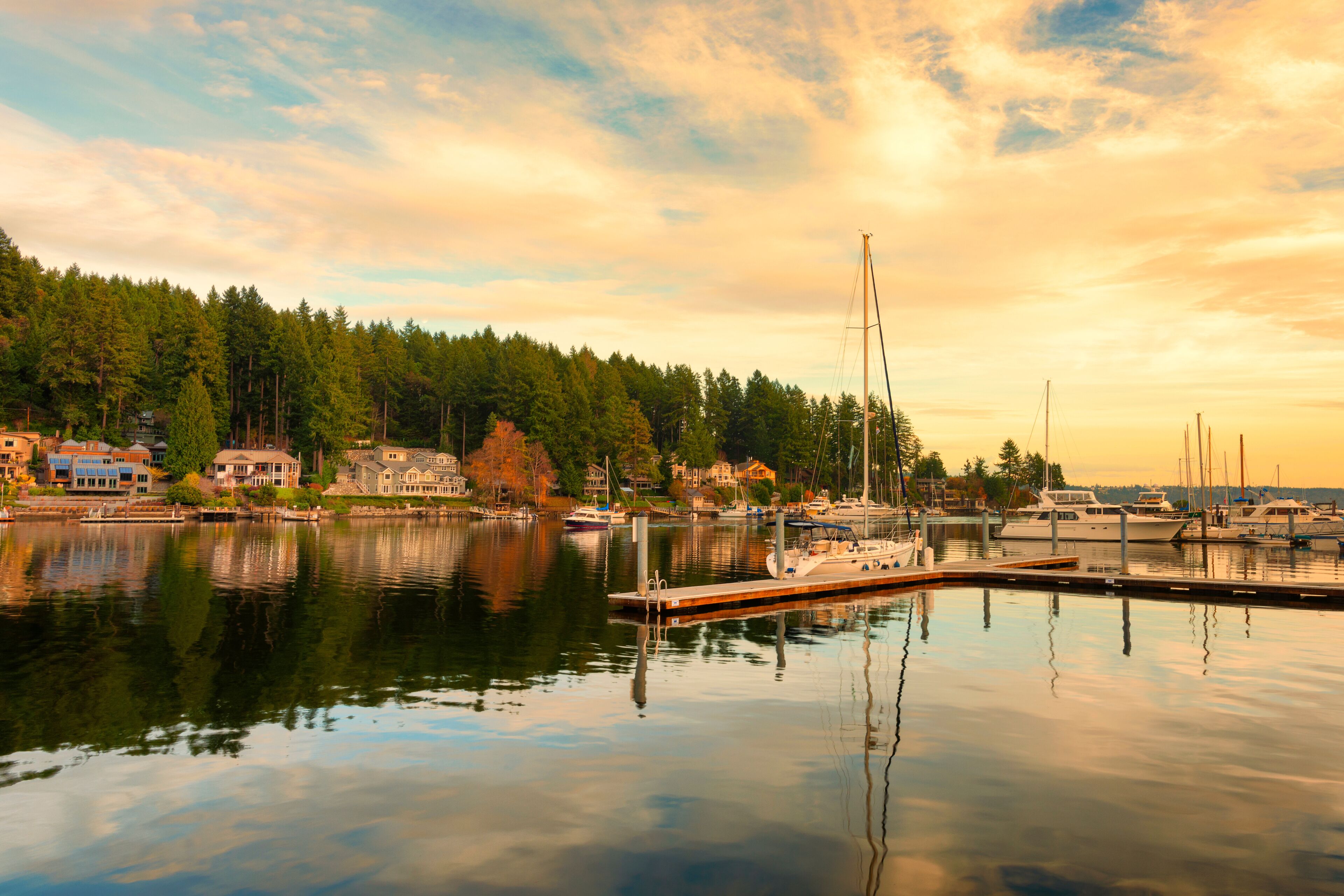 A marina with boats, a dock, and houses along the water's edge.