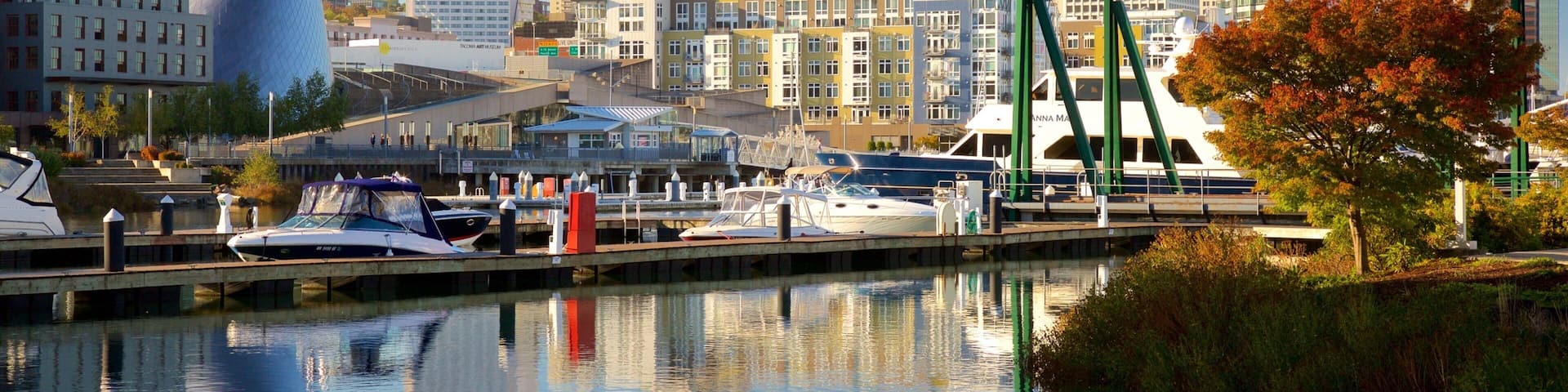 Tacoma showing a city, a bay or harbor and a marina