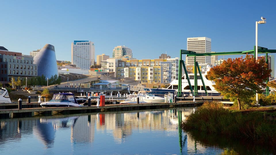 A marina with boats, a distinctive modern building, and a city skyline in the background.