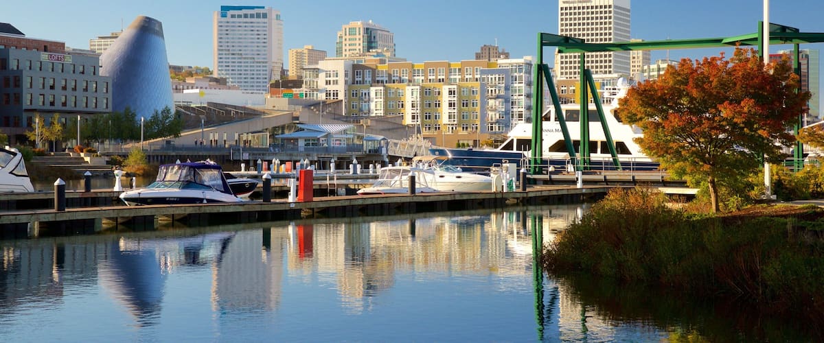 A marina with boats, a distinctive modern building, and a city skyline in the background.